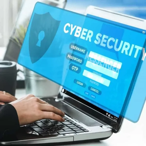 Elk Grove Cyber Security Services